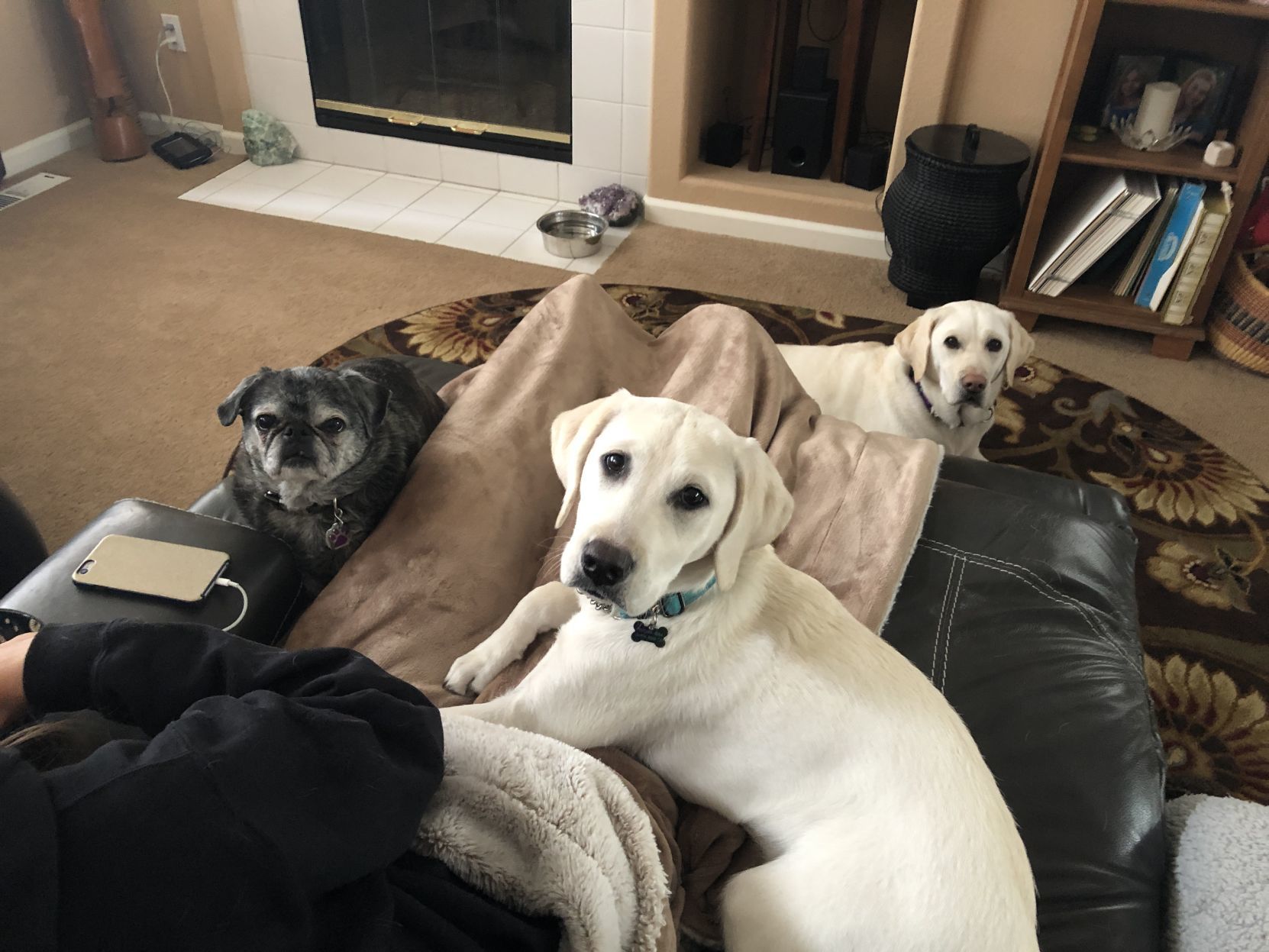Hope, Maya, and Meadow